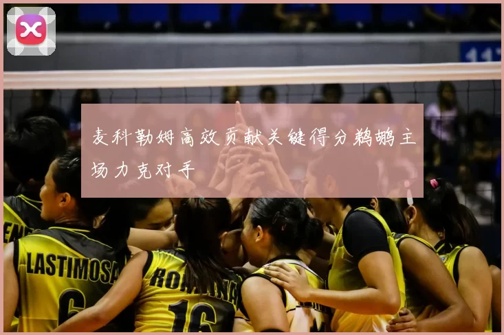 麦科勒姆高效贡献关键得分鹈鹕主场力克对手