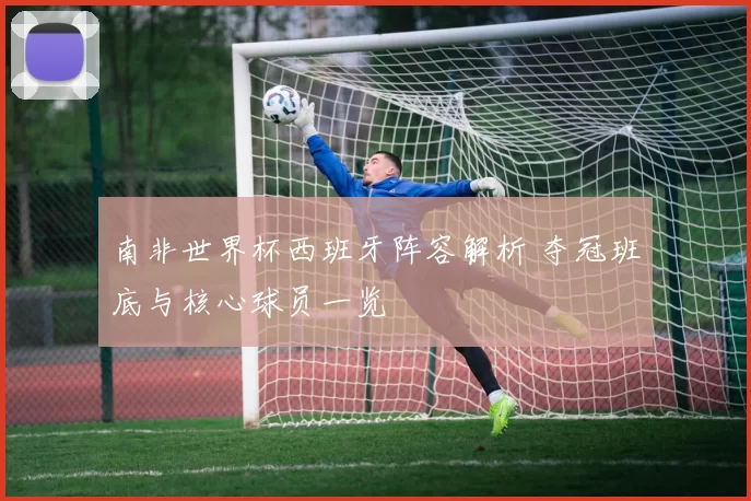南非世界杯西班牙阵容解析 夺冠班底与核心球员一览