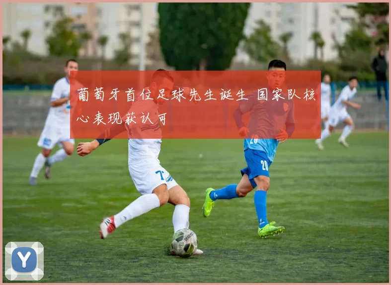 葡萄牙首位足球先生诞生 国家队核心表现获认可