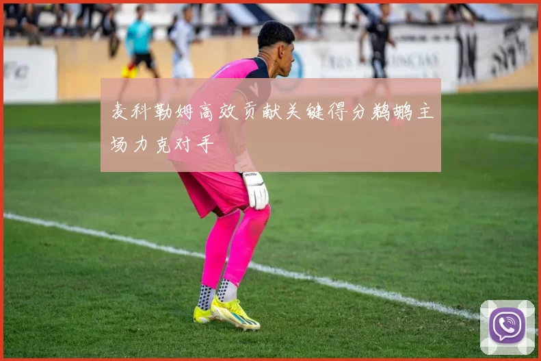 麦科勒姆高效贡献关键得分鹈鹕主场力克对手