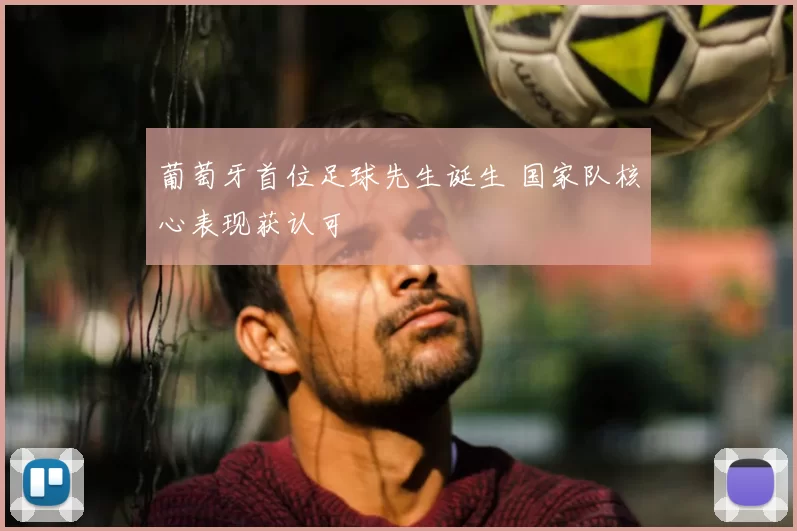 葡萄牙首位足球先生诞生 国家队核心表现获认可
