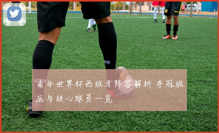 南非世界杯西班牙阵容解析 夺冠班底与核心球员一览
