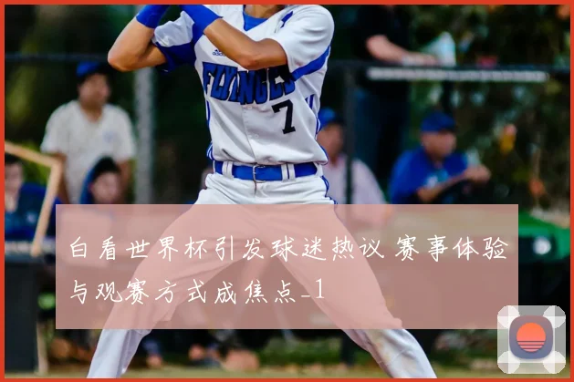 白看世界杯引发球迷热议 赛事体验与观赛方式成焦点_1