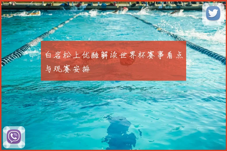 白岩松上优酷解读世界杯赛事看点与观赛安排