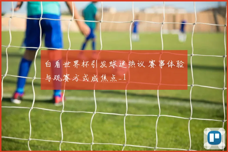 白看世界杯引发球迷热议 赛事体验与观赛方式成焦点_1