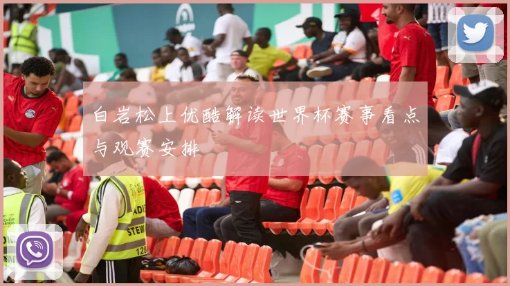 白岩松上优酷解读世界杯赛事看点与观赛安排