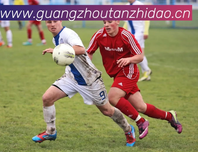 尊龙凯时人生就是搏·(中国区)官方网站服务体系